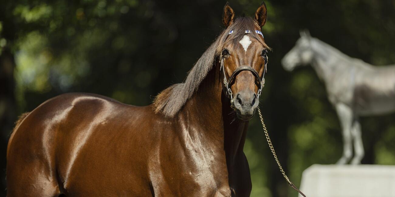Cody's Wish, a bay stallion with a white star, stands in profile with a bronze statue of a horse behind him.