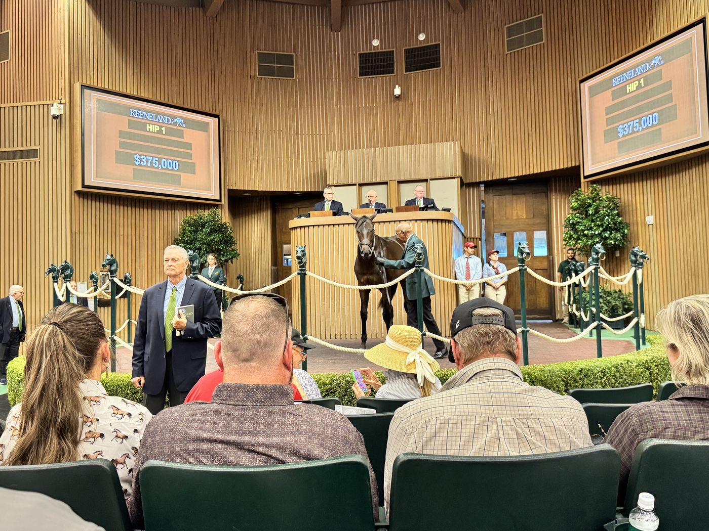 A yearling stands in the Keeneland sales ring before the auctioneers' stand as the boards show Hip 1 at $375,000.
