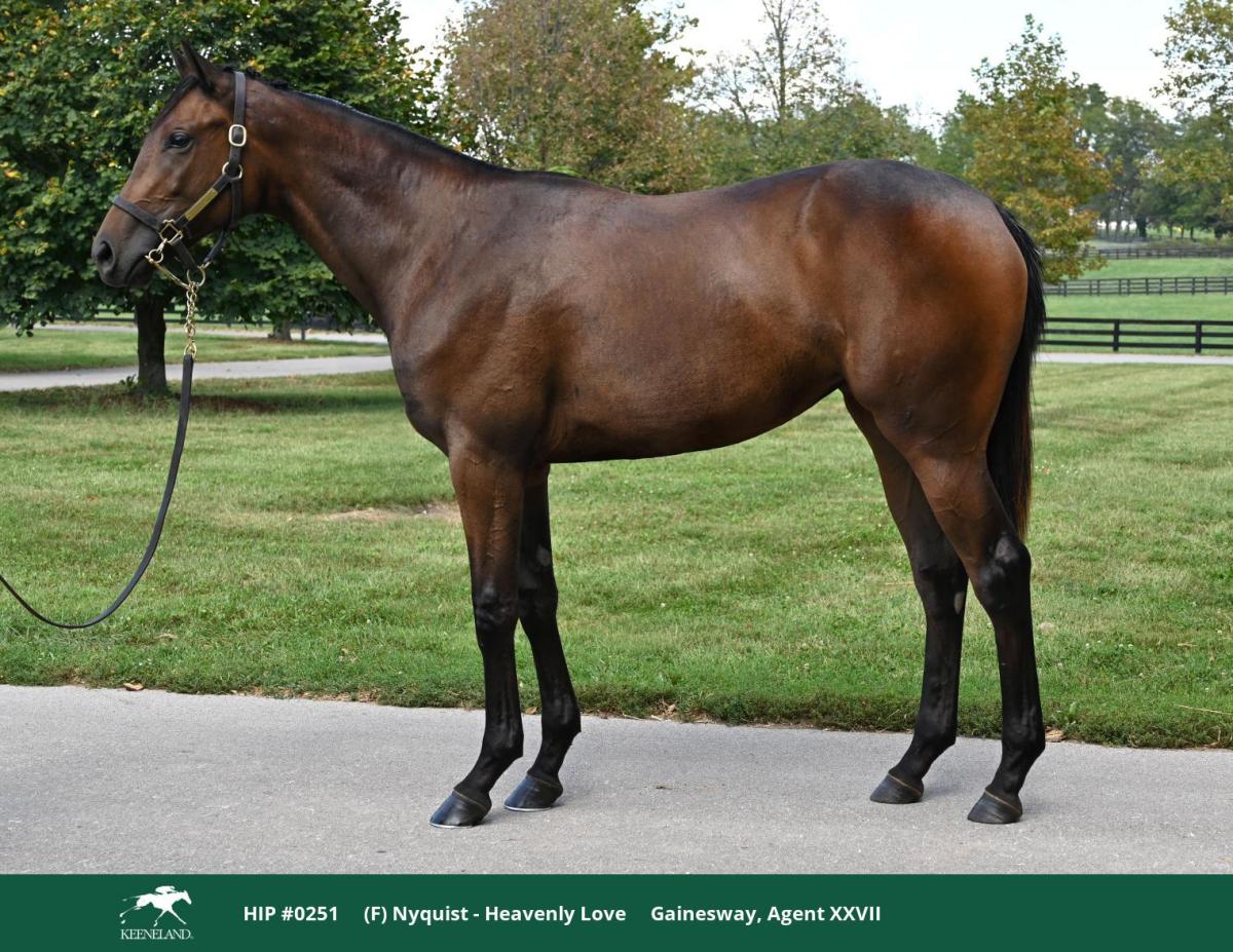 Hip 251, a bay filly by Nyquist out of Heavenly Love, standing in profile on a path beside a lawn.